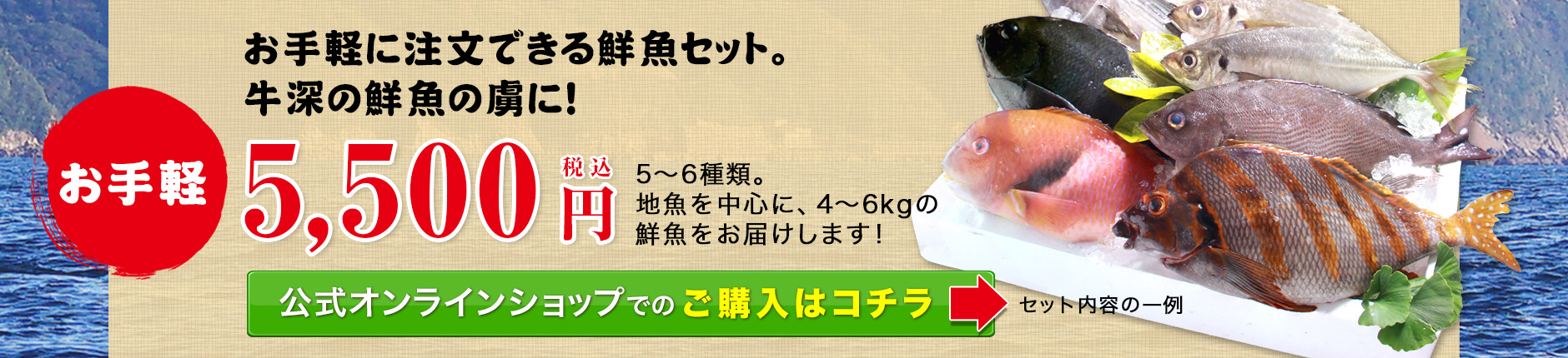 お手軽5500円。充実した鮮魚セット！新鮮なお魚を自慢の目利きでチョイスします！