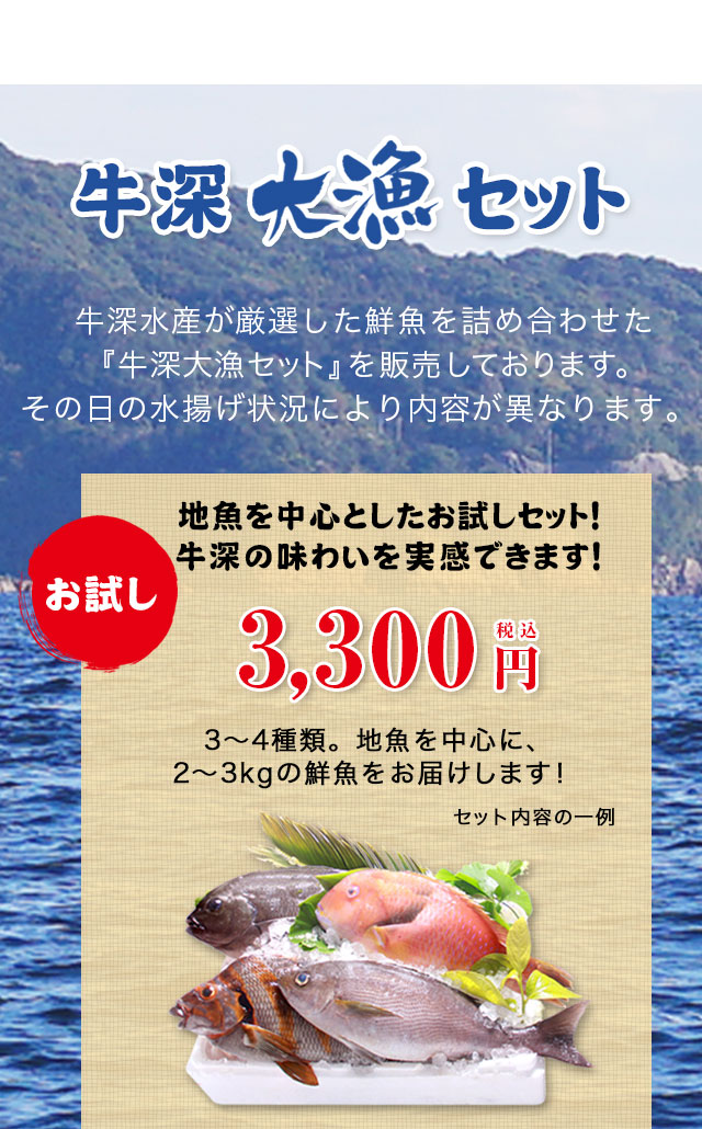 牛深大漁セット牛深水産が厳選した鮮魚を詰め合わせた『牛深大漁セット』を販売しております。その日の水揚げ状況により内容が異なります。地魚を中心としたお試しセット！牛深の味わいを実感できます！