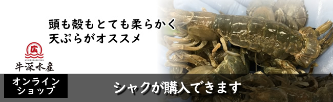 熊本天草牛深産シャク
