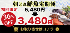牛深水産　魚のサブスク　鮮魚　定期便