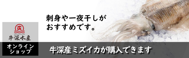 牛深産ミズイカが購入できます。
