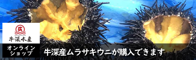 ムラサキウニを牛深水産の通販で購入