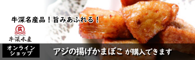 牛深水産 熊本天草牛深のアジの揚げかまぼこ