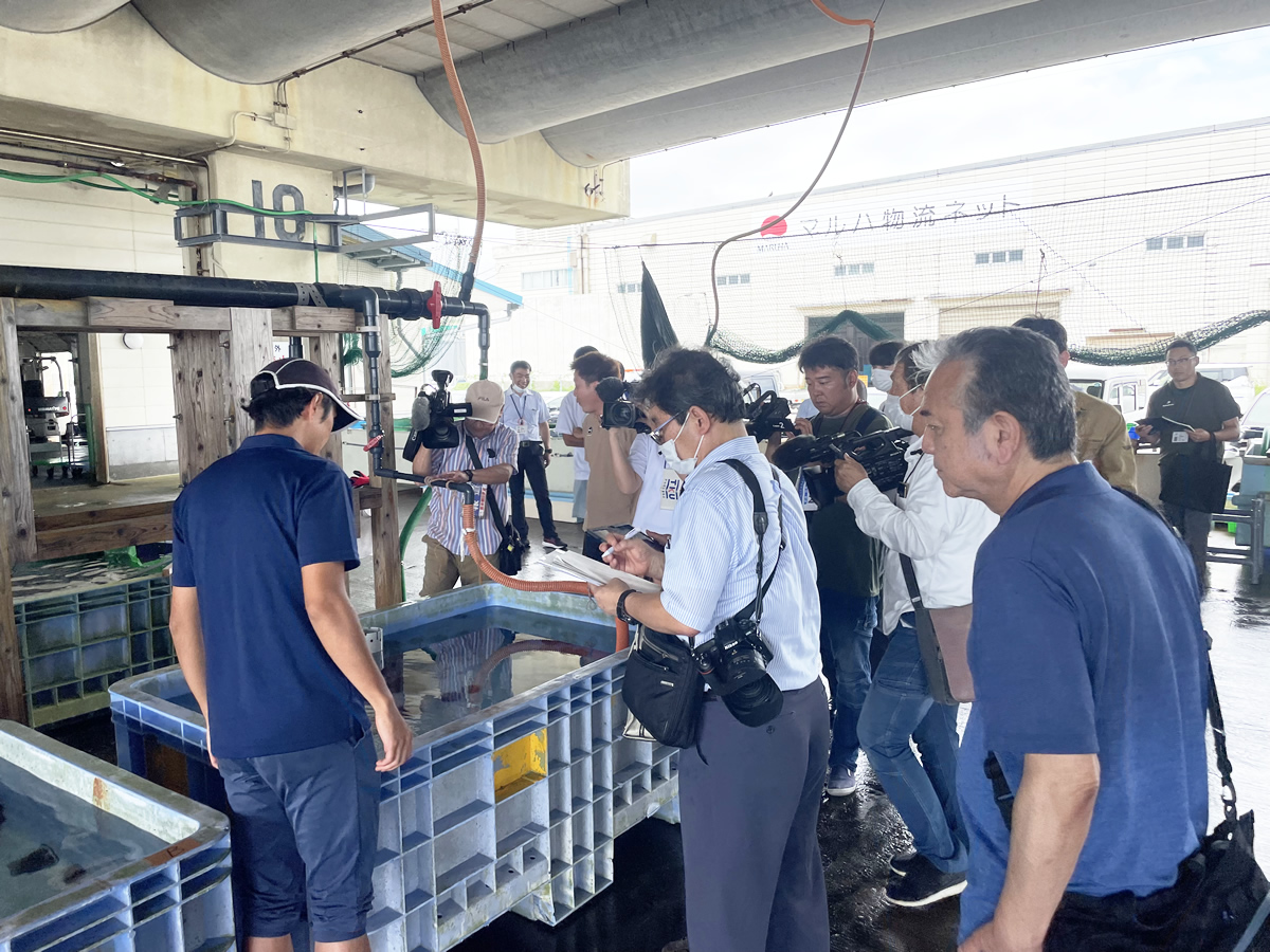 天草のウニ養殖へ前進