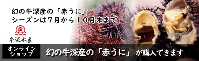 熊本天草の牛深の幻の赤ウニ(赤うに)