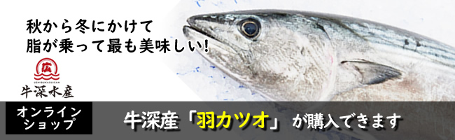 熊本天草の牛深の羽カツオ(ハガツオ)