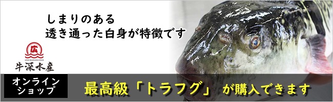 熊本 天草 最高級 とらふぐ(トラフグ)