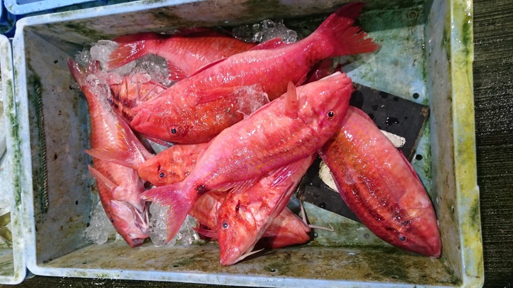 季節によって味が変わらない牛深の魚 オジサン 滋味豊かなお刺身に 牛深水産株式会社