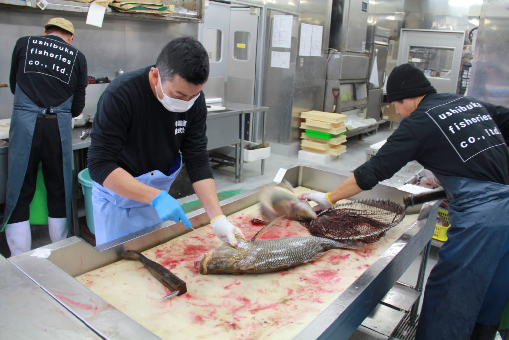 牛深水産 匠の技 牛深の鮮魚がお客様へ届くまで 熊本市内編 牛深水産株式会社