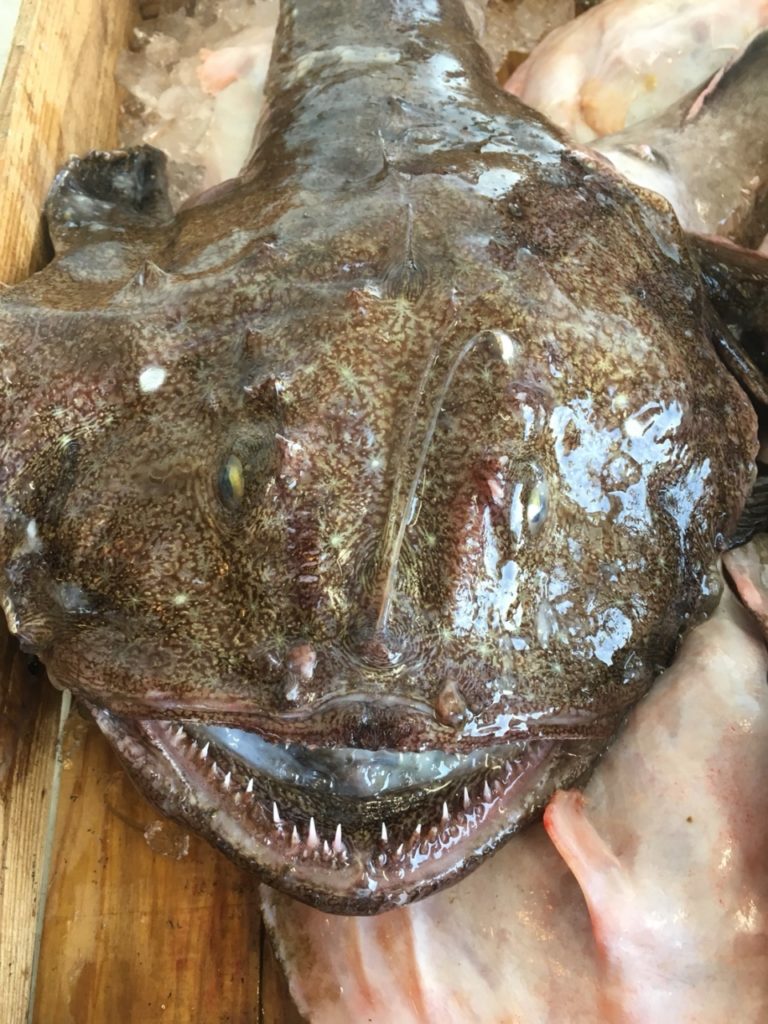 アンコウの魅力や価格を解説！ 捨てる部位がなくすべて旨い - 牛深水産