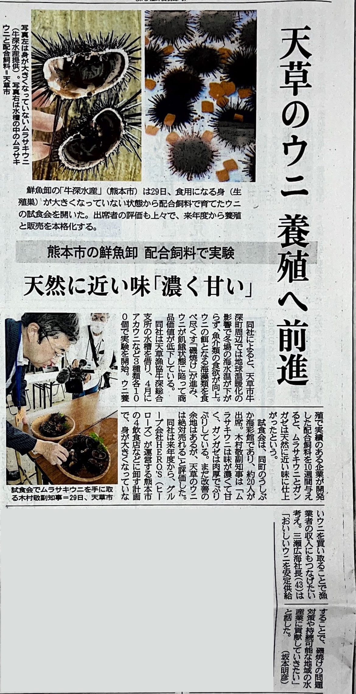 天草のウニ養殖へ前進　熊本日日新聞 令和5年6月30日朝刊